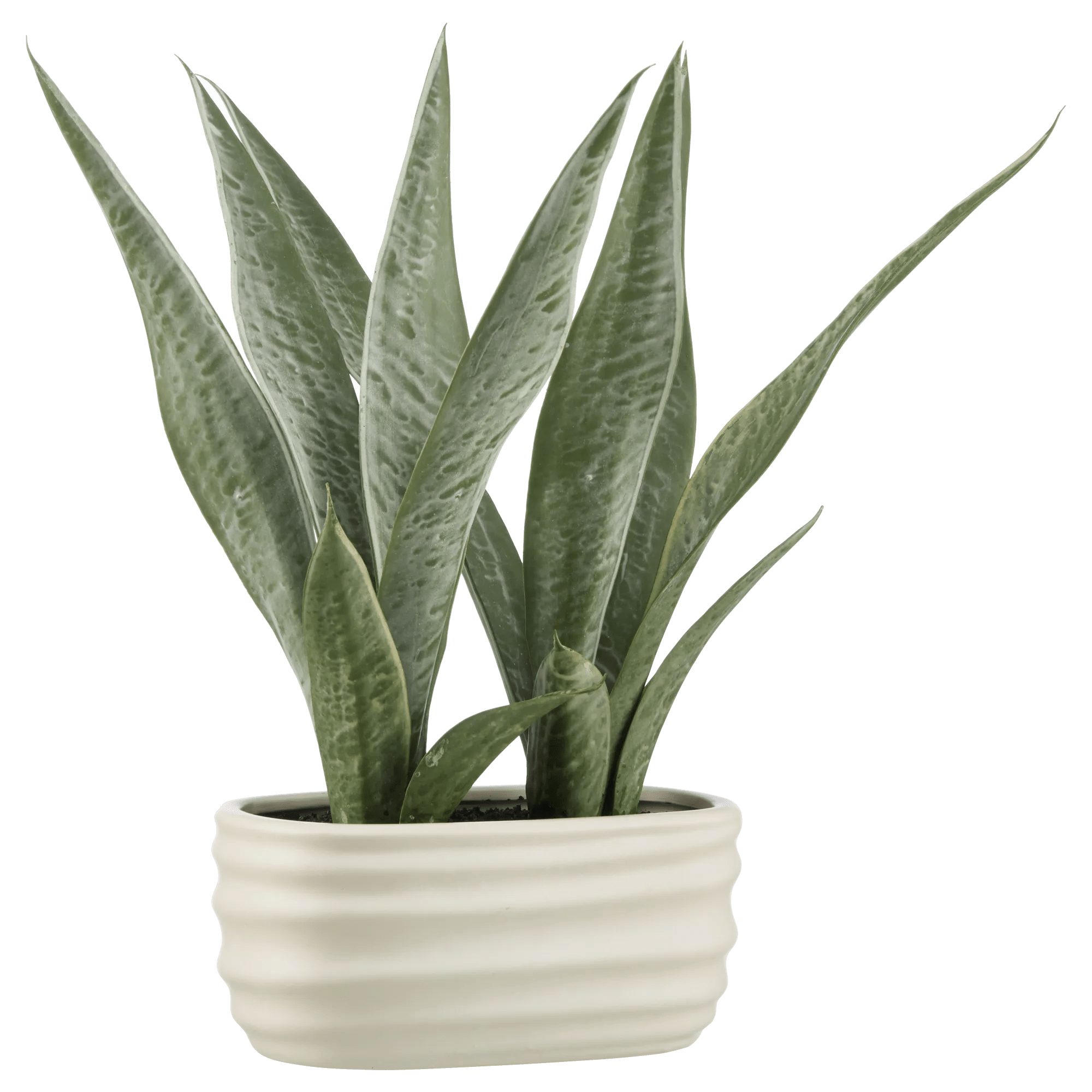 Artificial Plant in Ceramic Pot