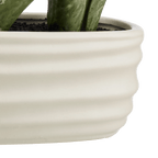 Artificial Plant in Ceramic Pot