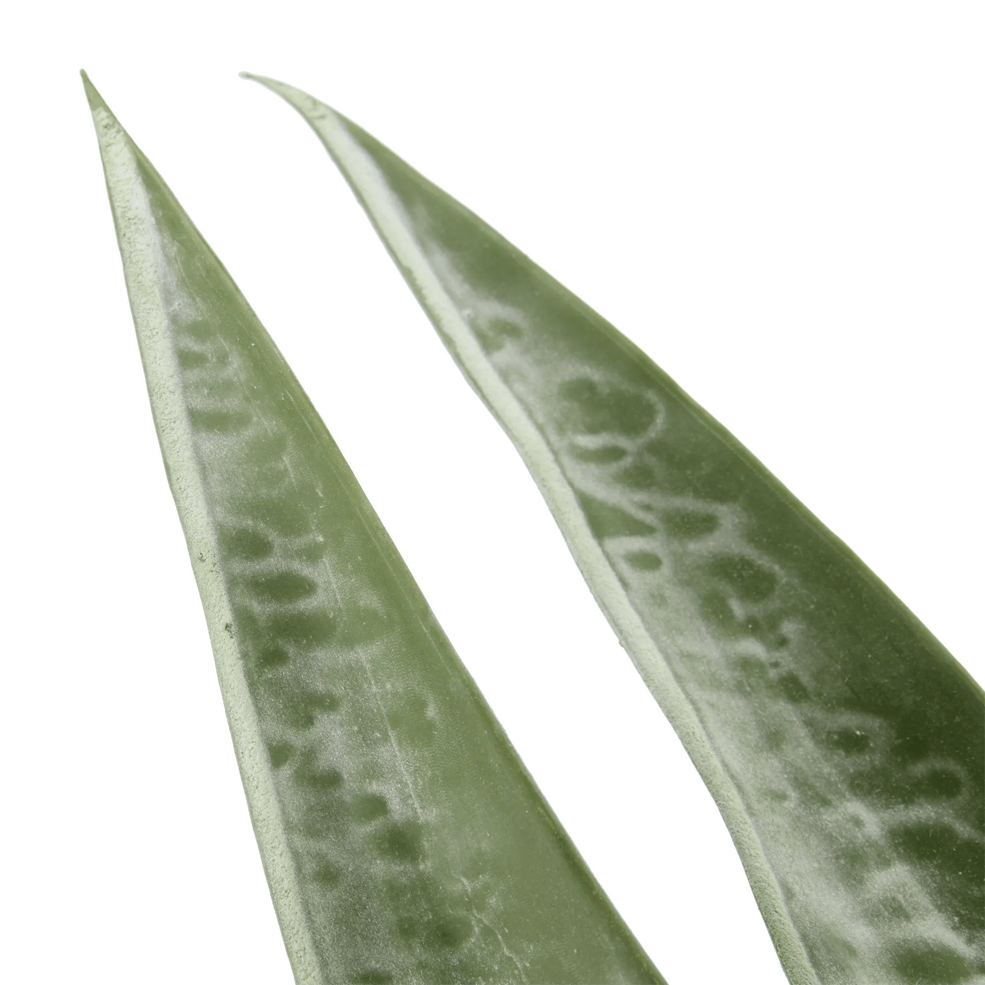 Artificial Plant in Ceramic Pot