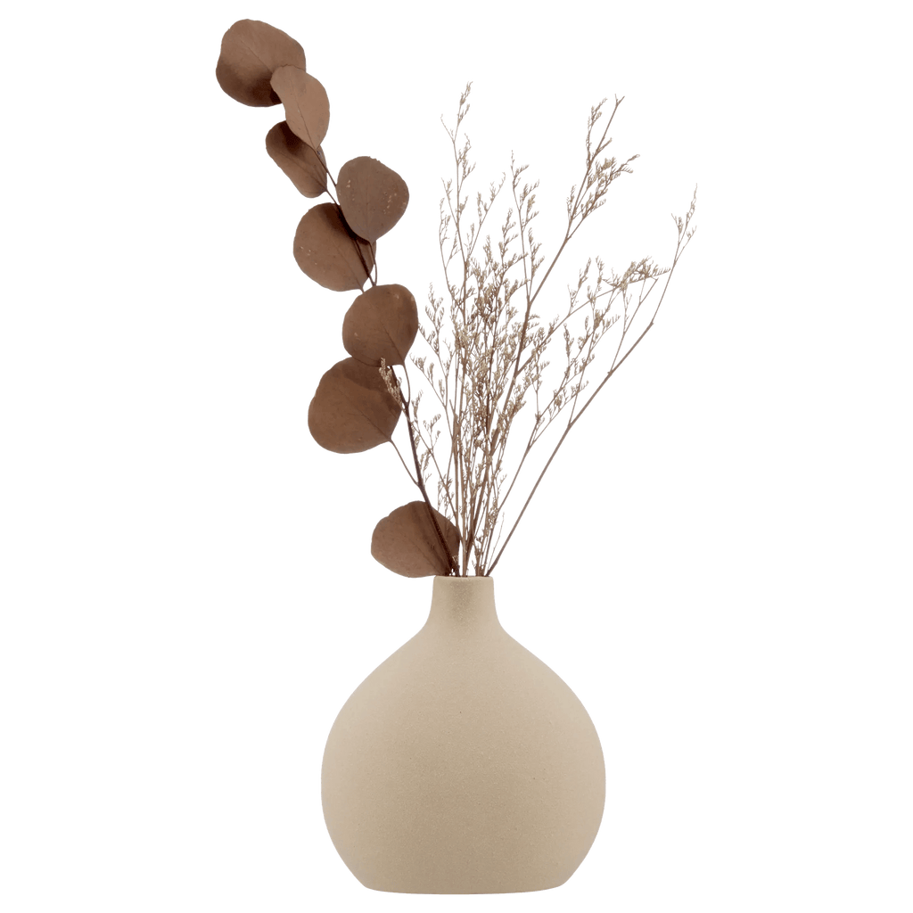 Dried Stem in a Vase