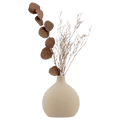 Dried Stem in a Vase