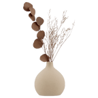 Dried Stem in a Vase