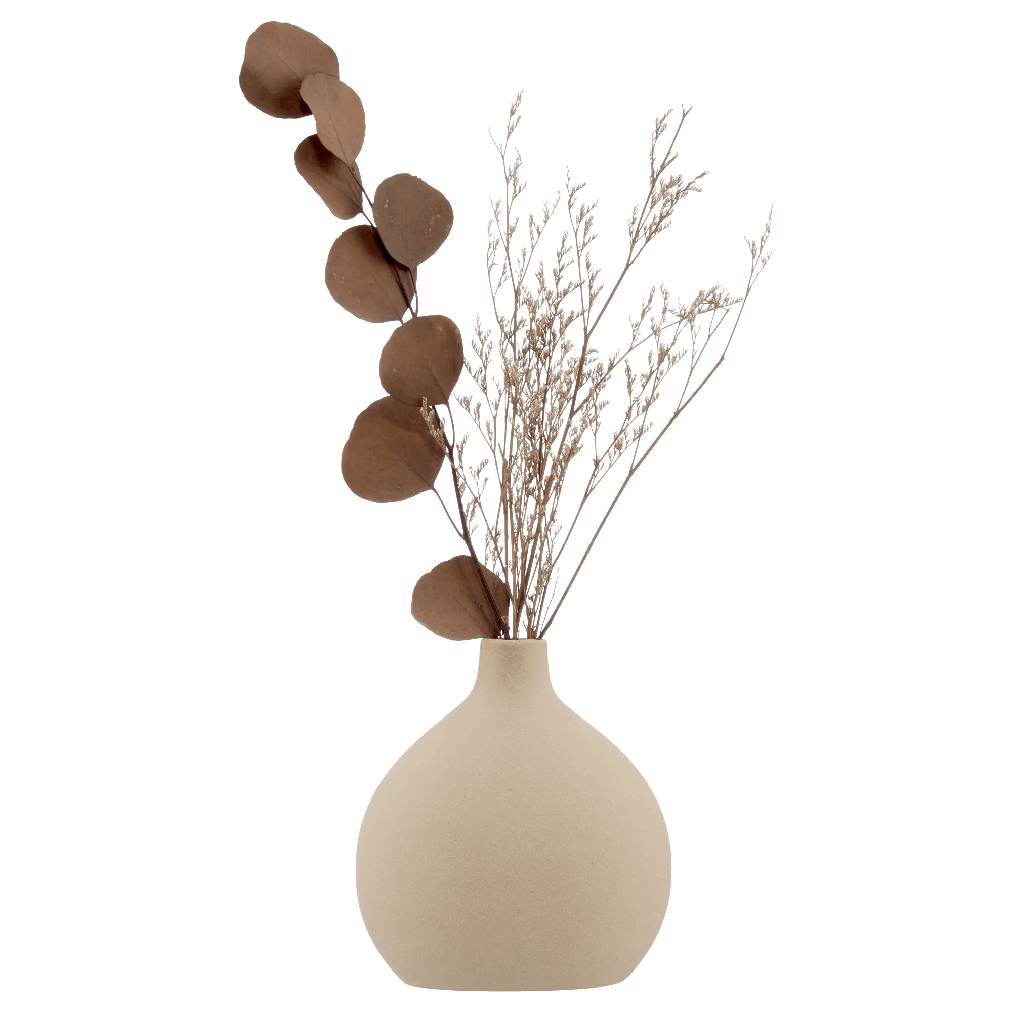 Dried Stem in a Vase