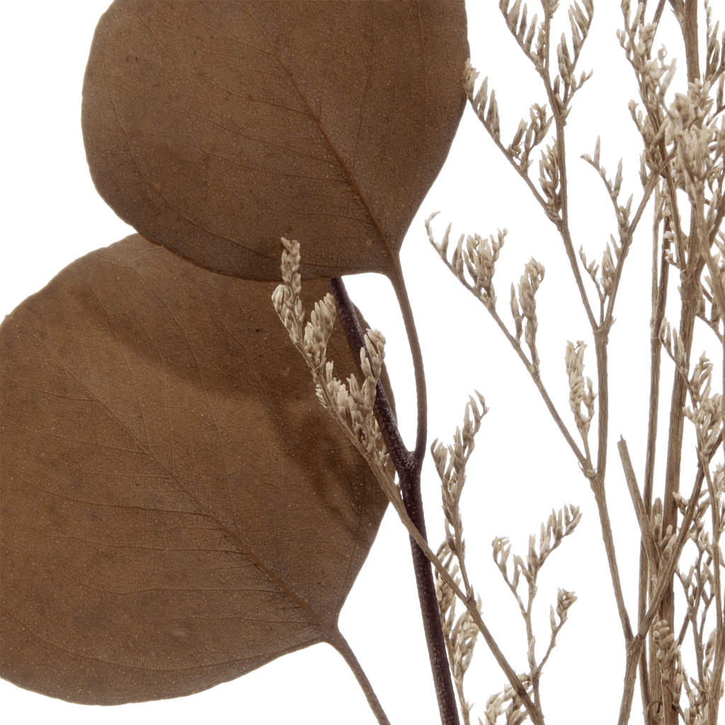 Dried Stem in a Vase