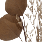 Dried Stem in a Vase