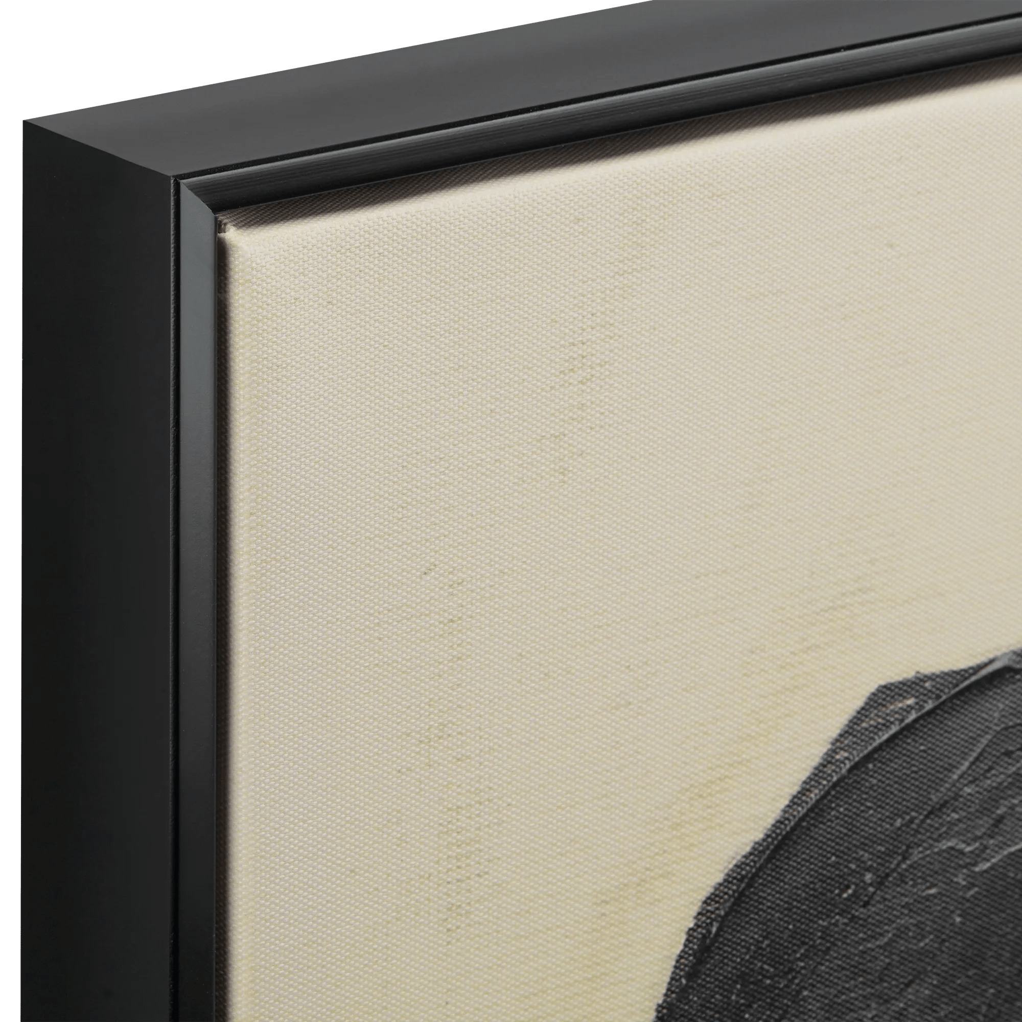 Black Leaf in a Vase Framed Art