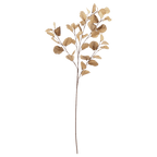 Artificial Eucalyptus Stem