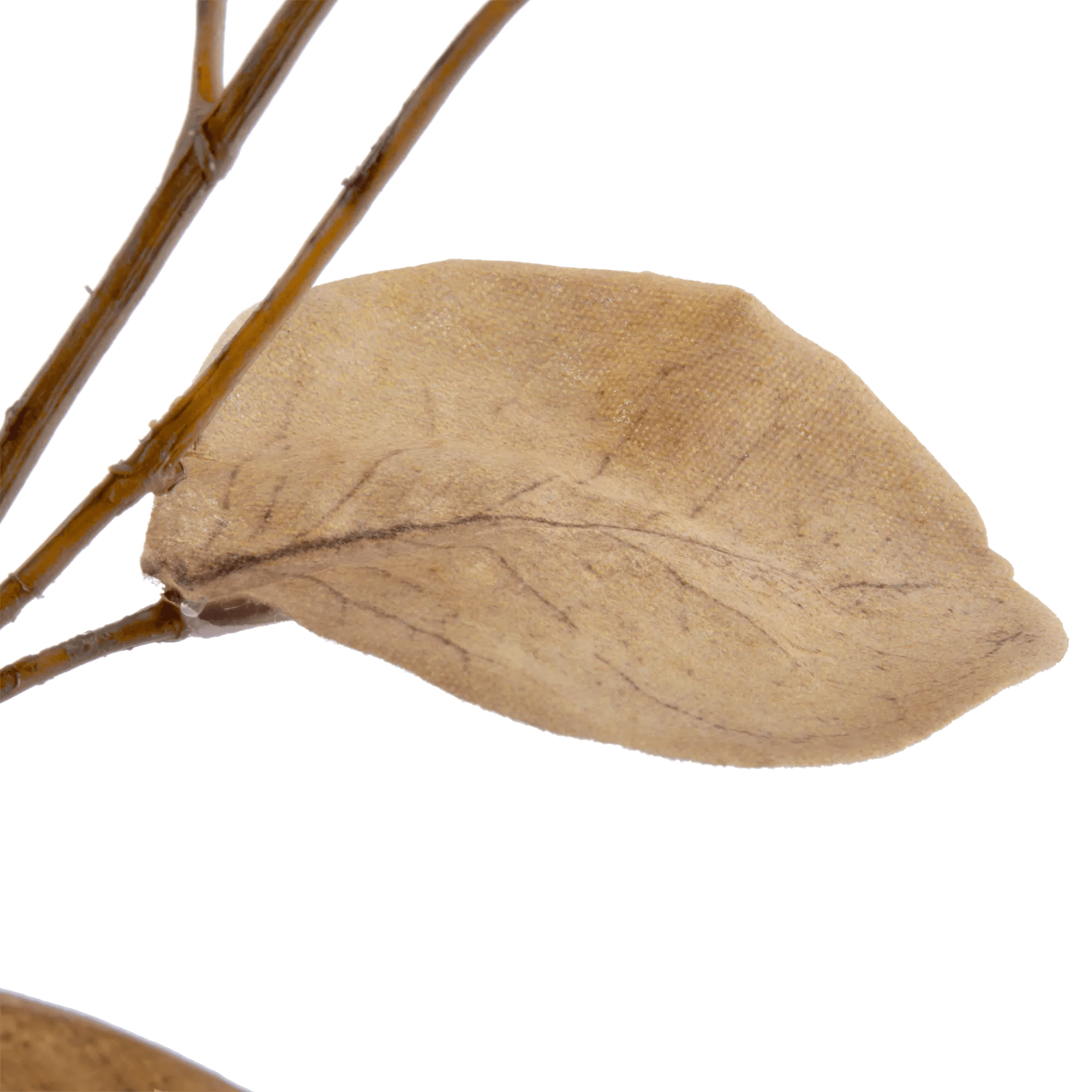 Artificial Eucalyptus Stem