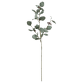 Artificial Eucalyptus Stem