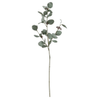 Artificial Eucalyptus Stem