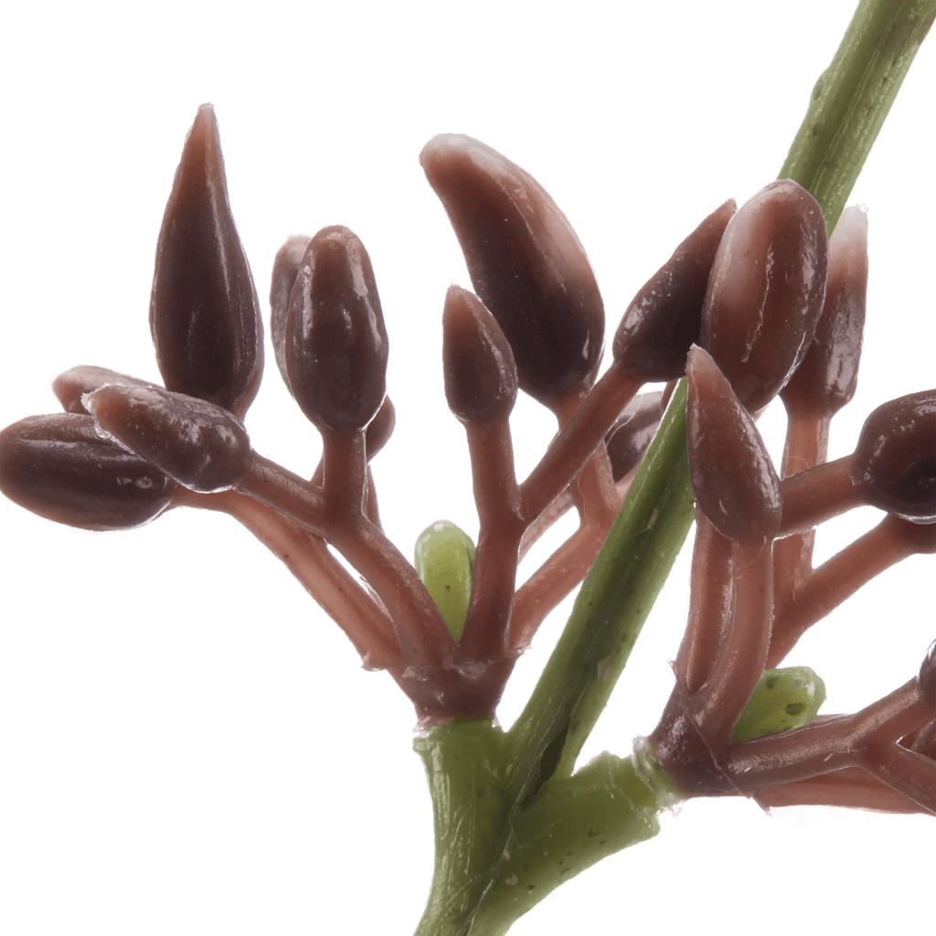 Artificial Eucalyptus Stem