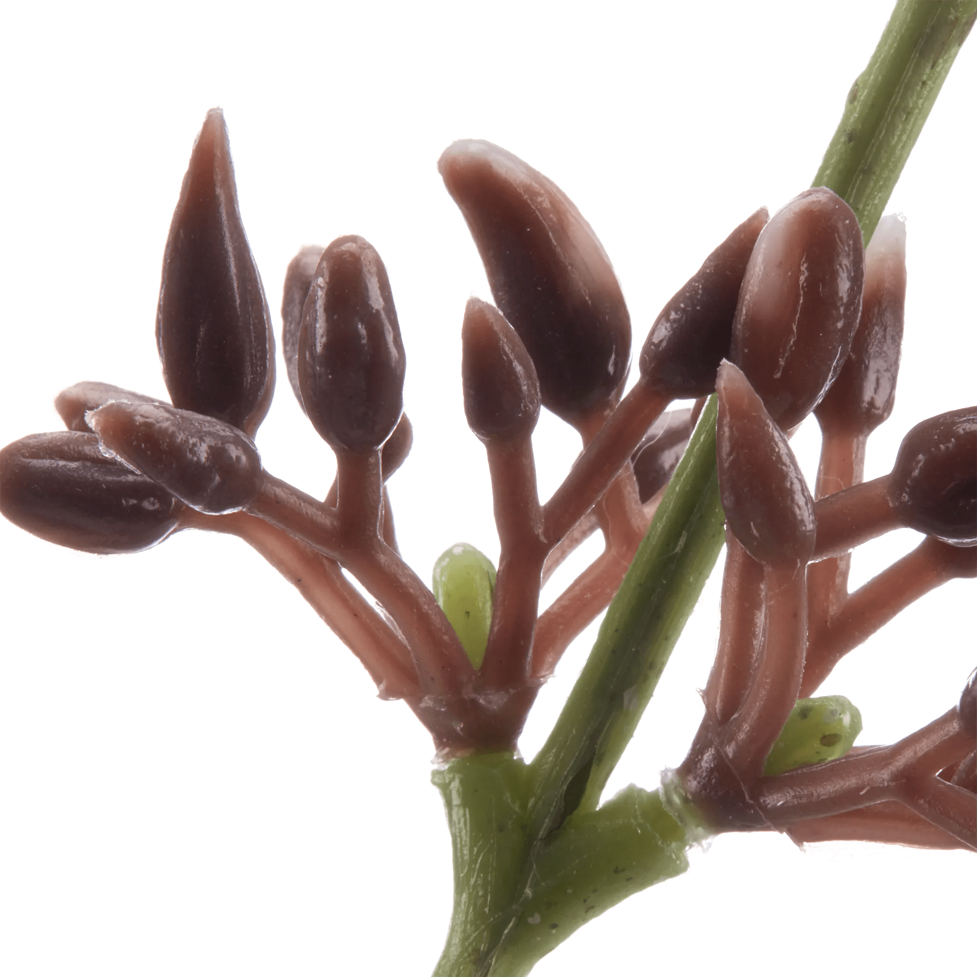 Artificial Eucalyptus Stem