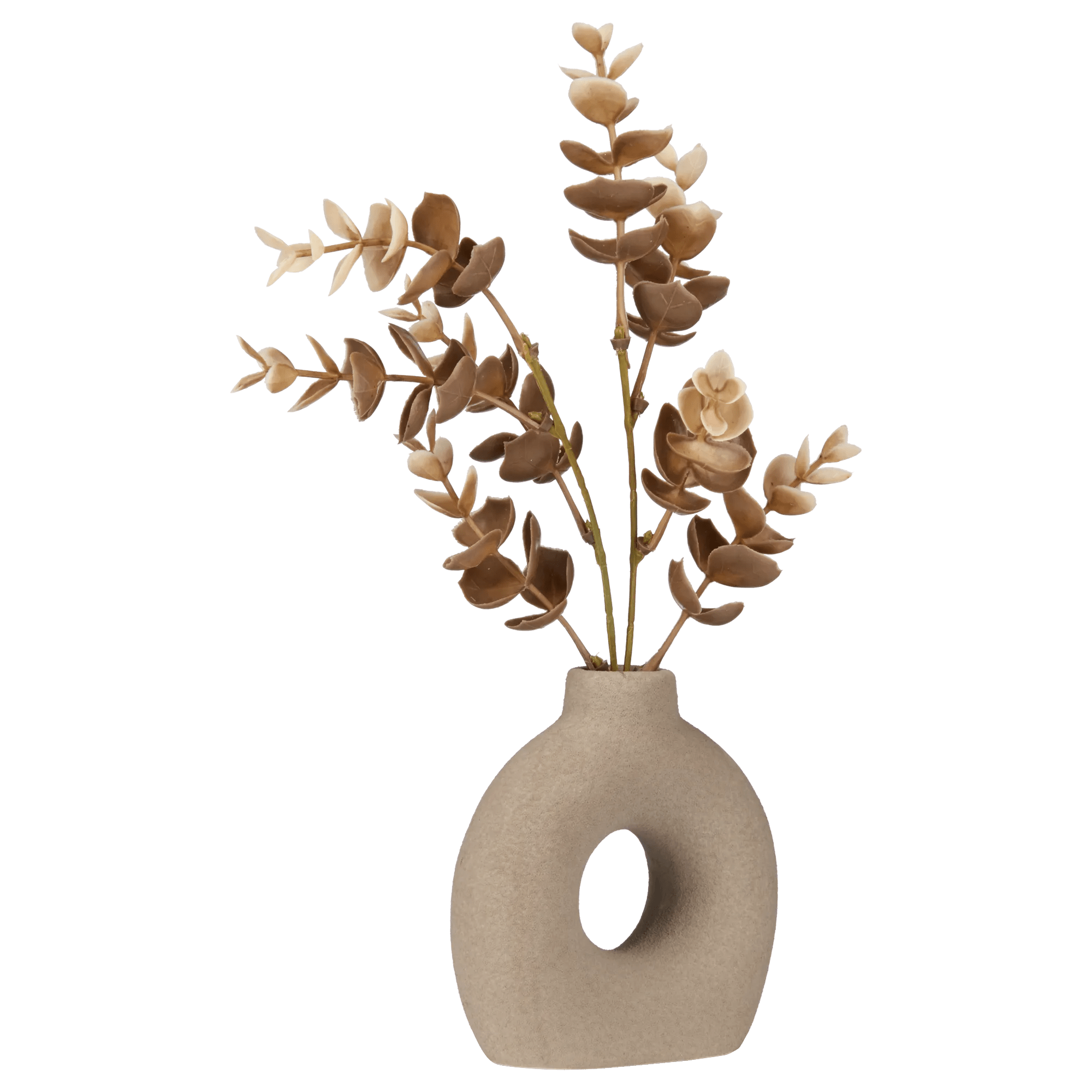 Eucalyptus in Loop Vase