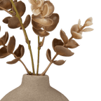 Eucalyptus in Loop Vase