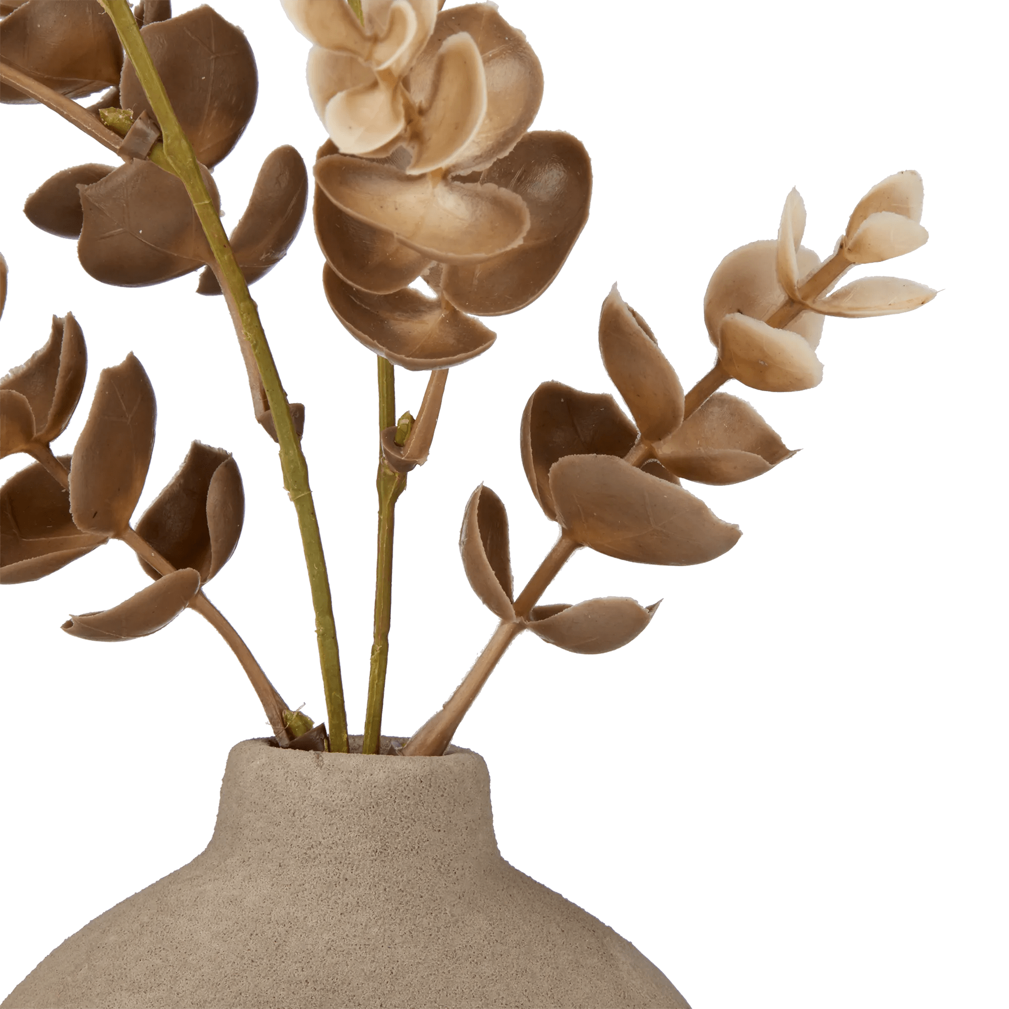 Eucalyptus in Loop Vase