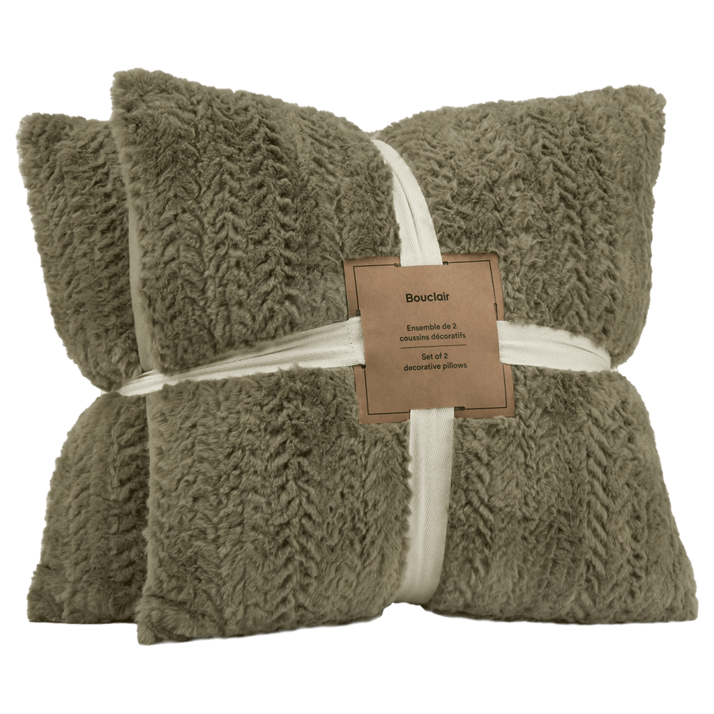Sage Set of 2 Ellyn Decorative Pillow