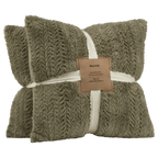 Sage Set of 2 Ellyn Decorative Pillow