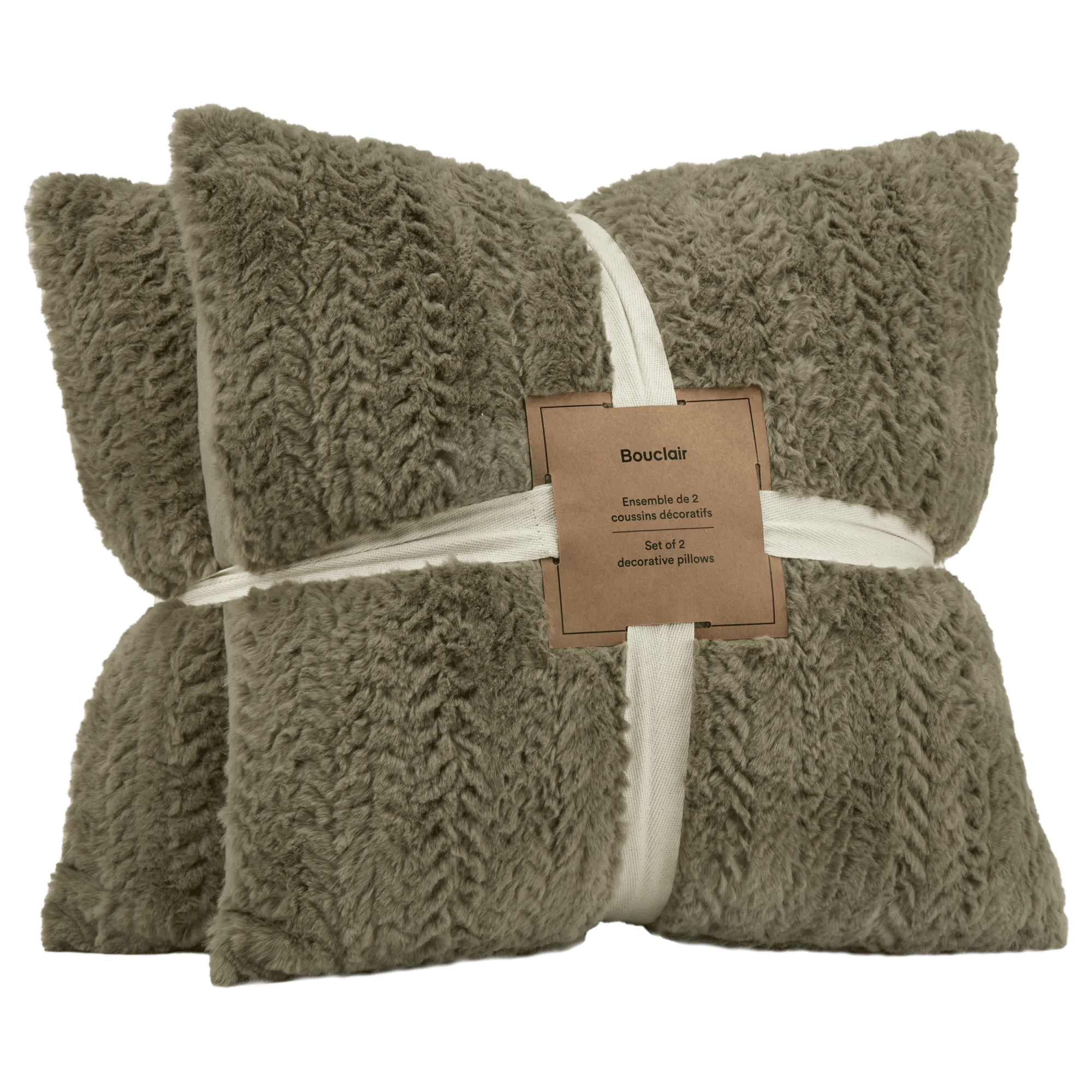 Sage Set of 2 Ellyn Decorative Pillow