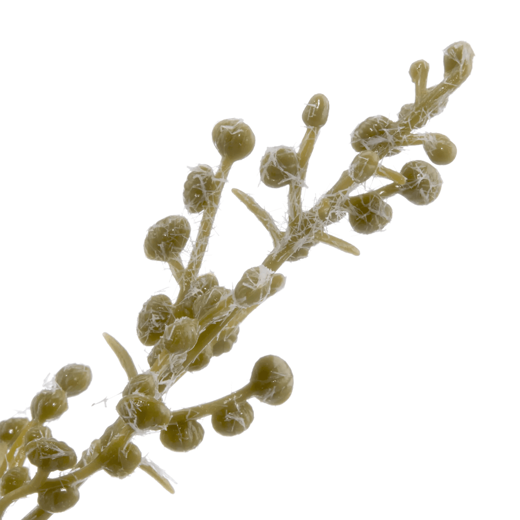 Mini Pot of Greenery