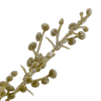 Mini Pot of Greenery