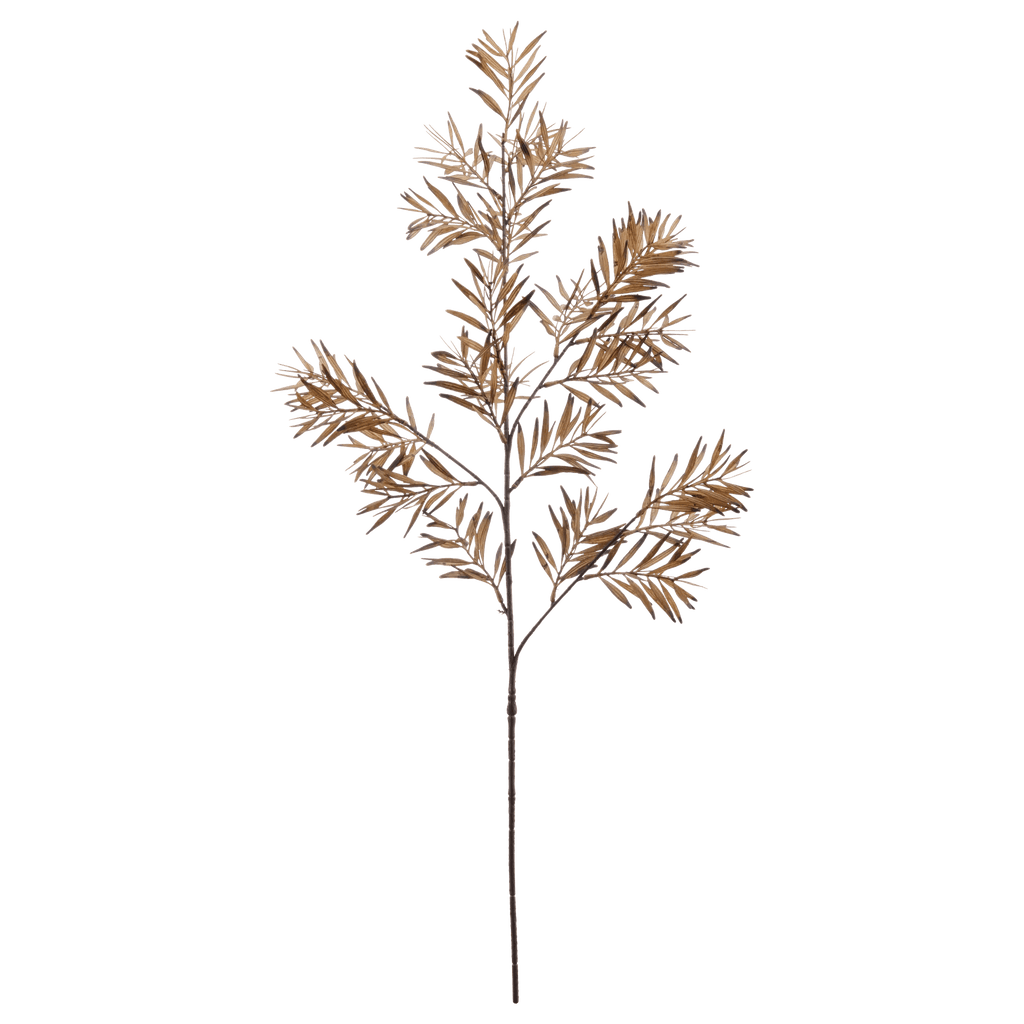 Brown Wild Leaves Stem