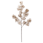 Brown Wild Leaves Stem