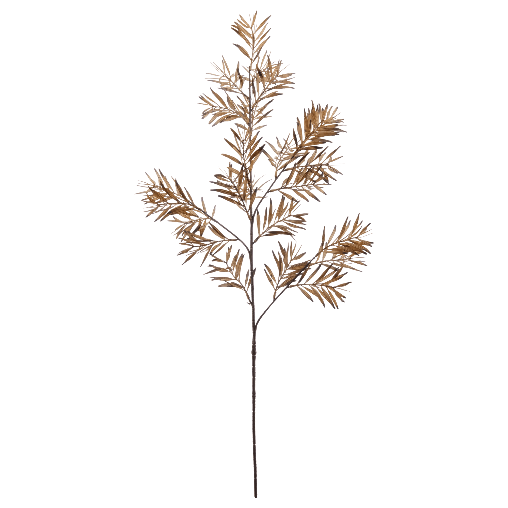 Brown Wild Leaves Stem