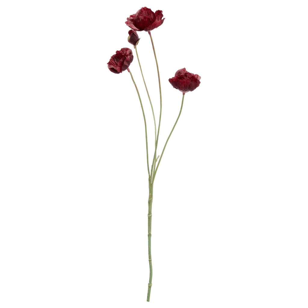 Plum Poppy Stem