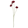 Plum Poppy Stem