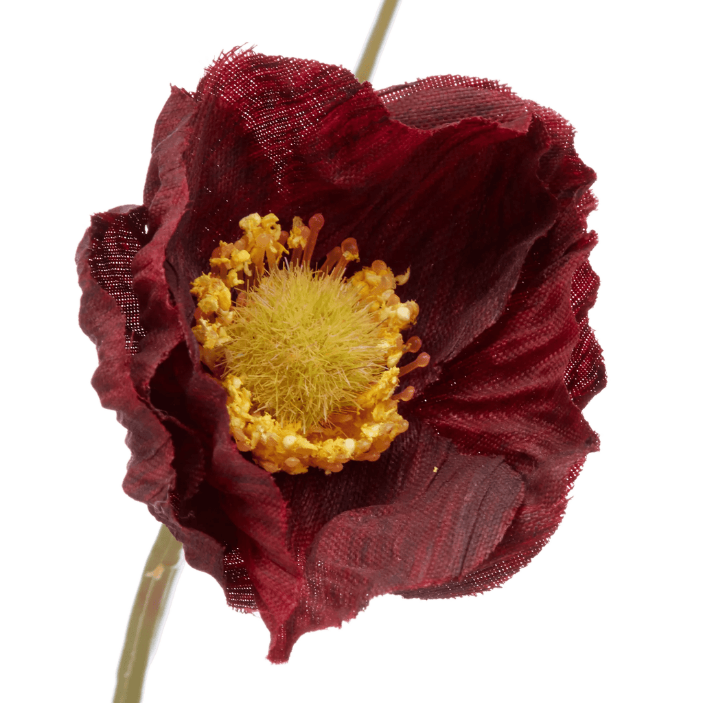 Plum Poppy Stem