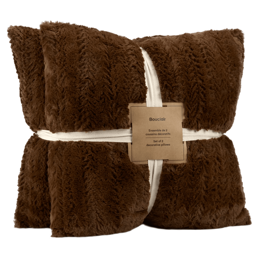 Brown Set of 2 Ellyn Decorative Pillow