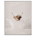 Cow in Bath Framed Canvas