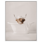 Cow in Bath Framed Canvas