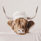 Cow in Bath Framed Canvas