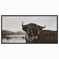 Highland Cow in Grass Framed Art