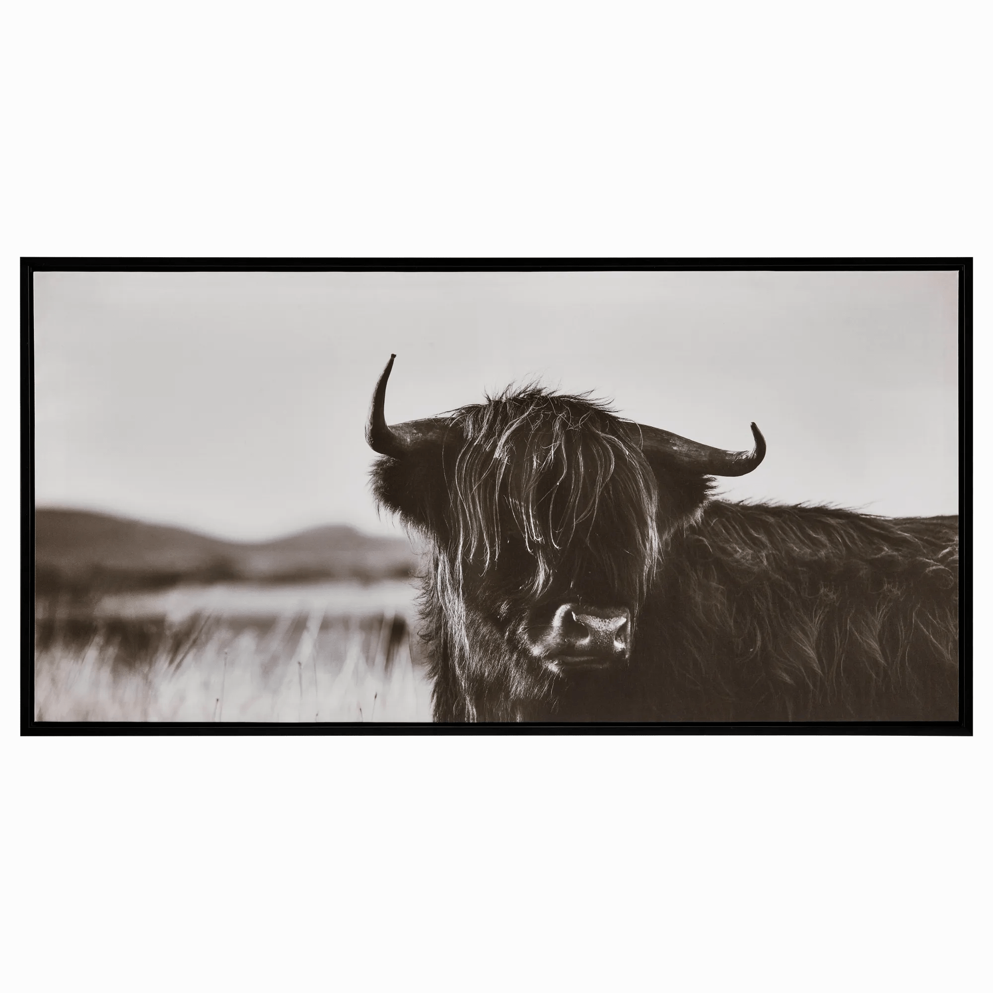 Highland Cow in Grass Framed Art