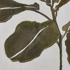 Green Leaves Framed Canvas