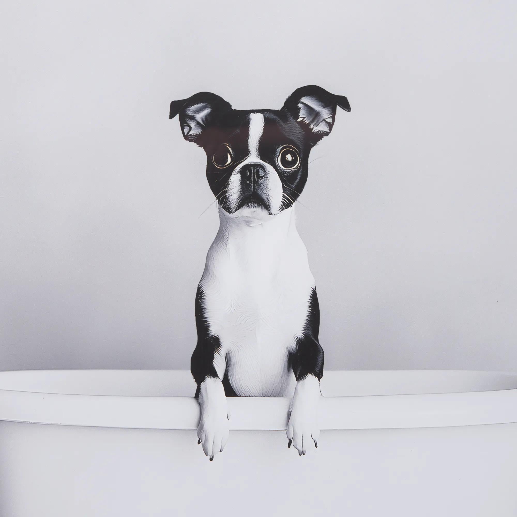 Dog in Bathtub Framed Canvas