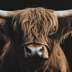 Highland Cow Profile Framed Canvas