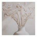 Stems in White Vase Framed Canvas