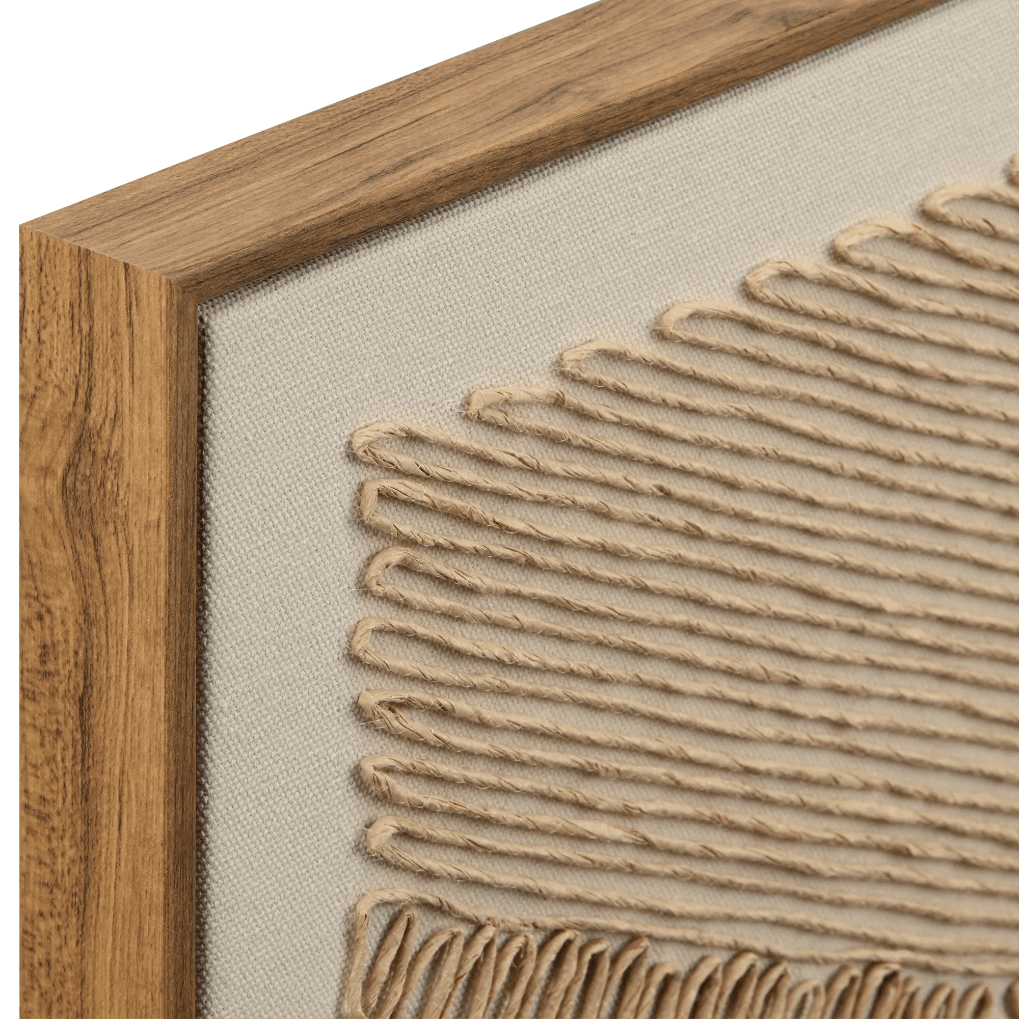 Corded Abstract Framed Art