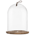Tall Glass Dome with Acadia Wood Base