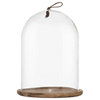 Tall Glass Dome with Acadia Wood Base