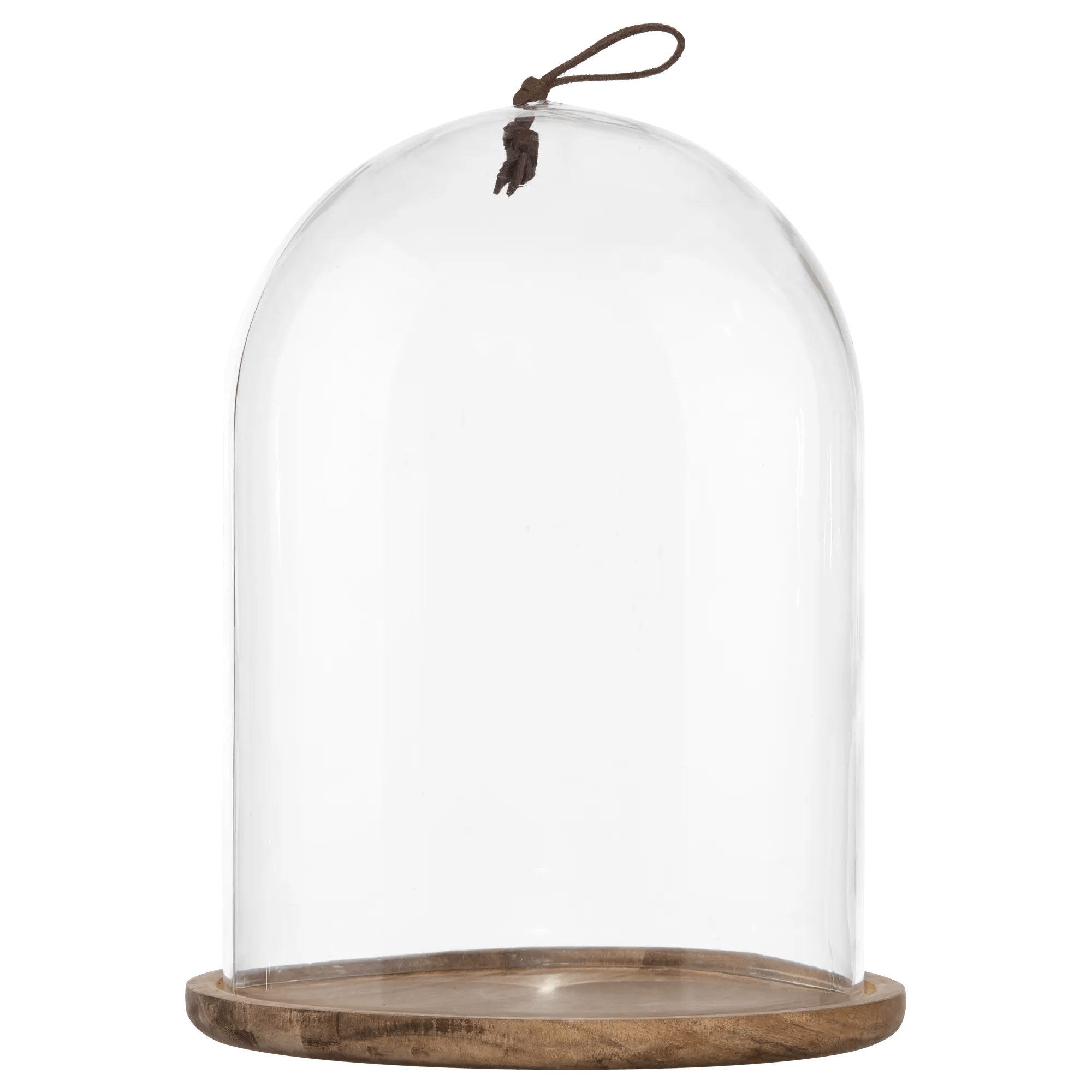 Tall Glass Dome with Acadia Wood Base