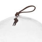 Tall Glass Dome with Acadia Wood Base