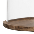 Tall Glass Dome with Acadia Wood Base