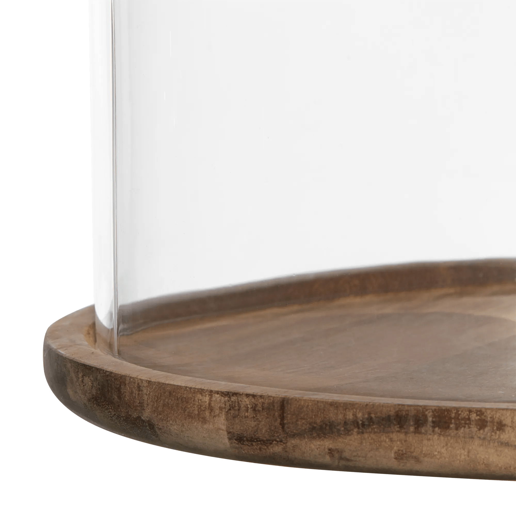 Tall Glass Dome with Acadia Wood Base