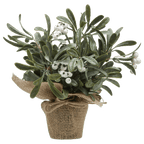 Potted Artificial Plant with White Berries
