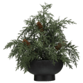 Artificial Juniper in Pot