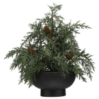 Artificial Juniper in Pot